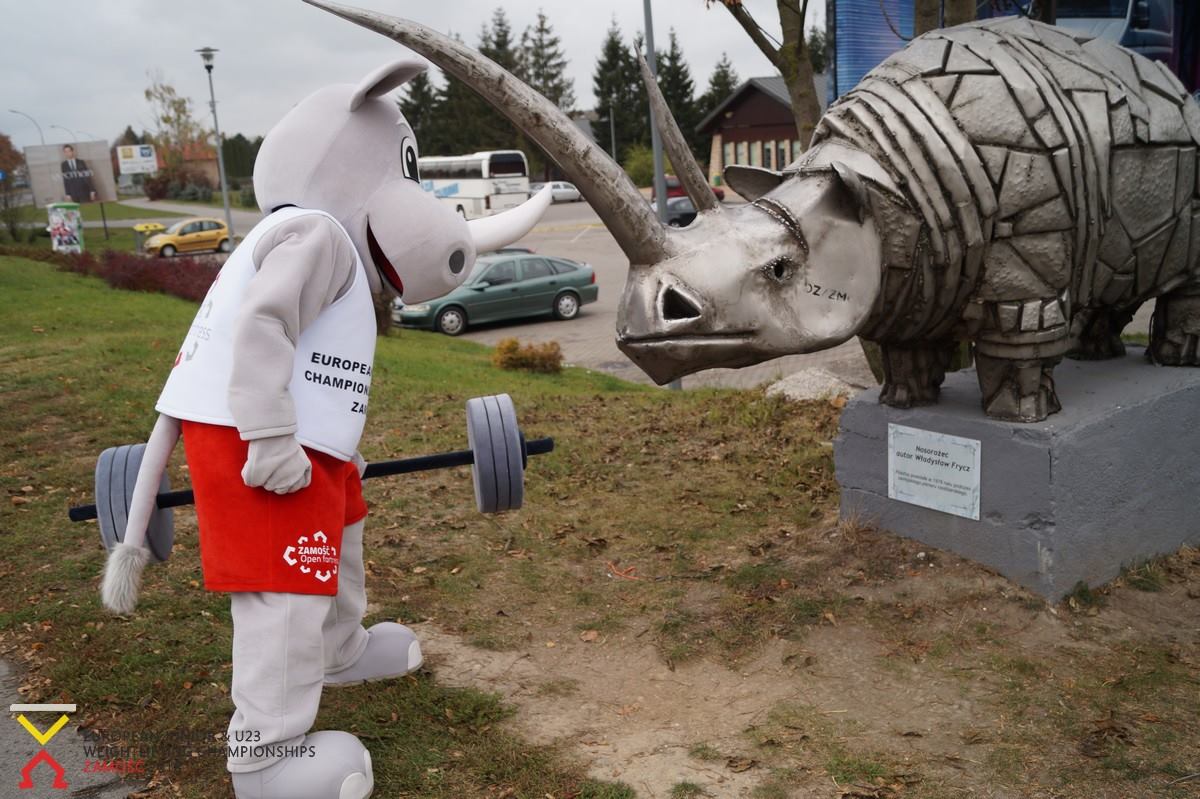 Na fotografii widnieje strój reklamowy nosorożec stojący przed pomnikiem nosorożca w Zamościu